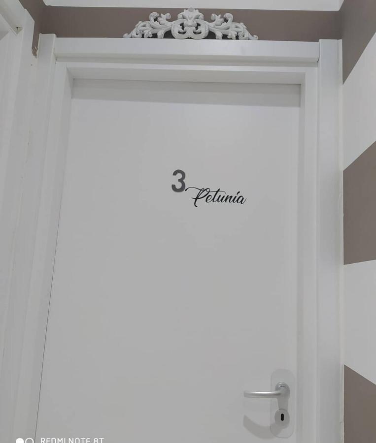 Le Camere Dei Fiori Sanremo Ngoại thất bức ảnh